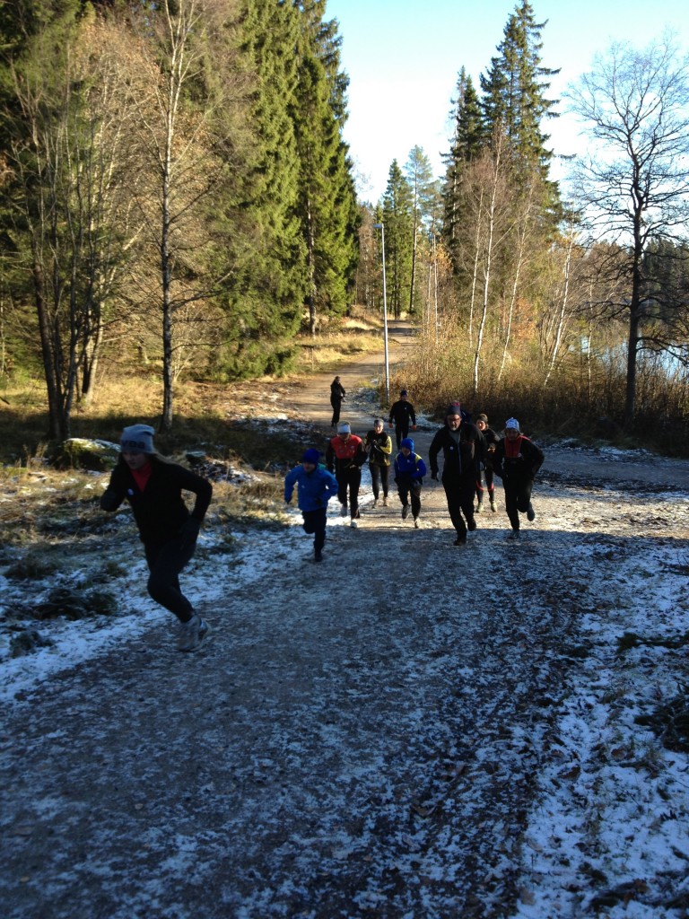 IMG_1242